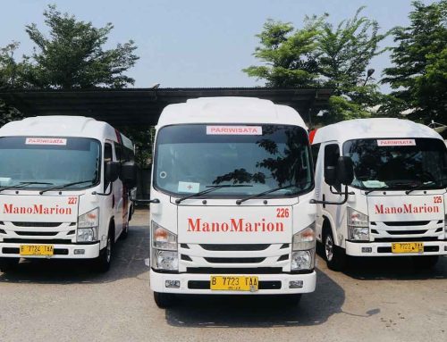 6 Hal Yang Harus Di Perhatikan Sebelum Sewa Elf Di Jakarta